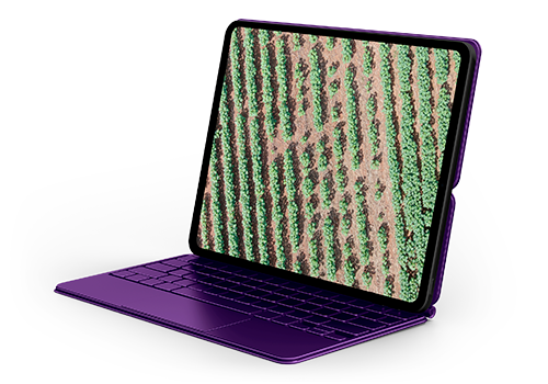 Estructura de cultivo