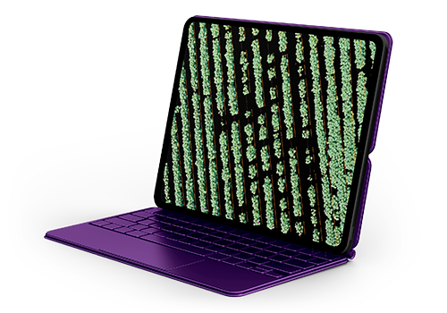 Estructura de cultivo