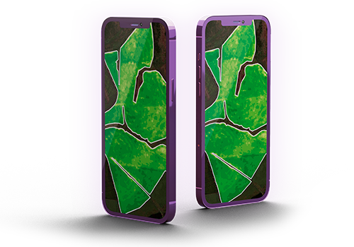 Mapas, zonificación y prescripciones