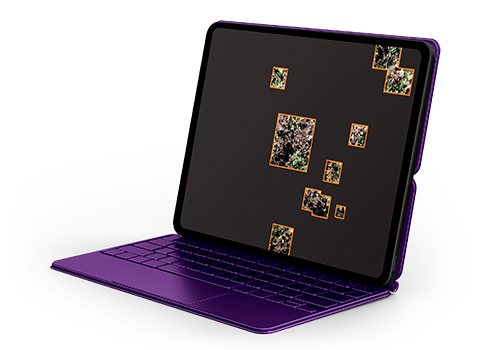 Presión de enfermedades